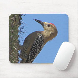 Gila Woodpecker Cactus Desert Bird Wildlife Photo Mouse Pad