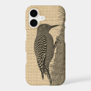 Gila Woodpecker with Saguaro Cactus Arizona Photo