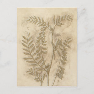 Gilded Foliage I Postcard
