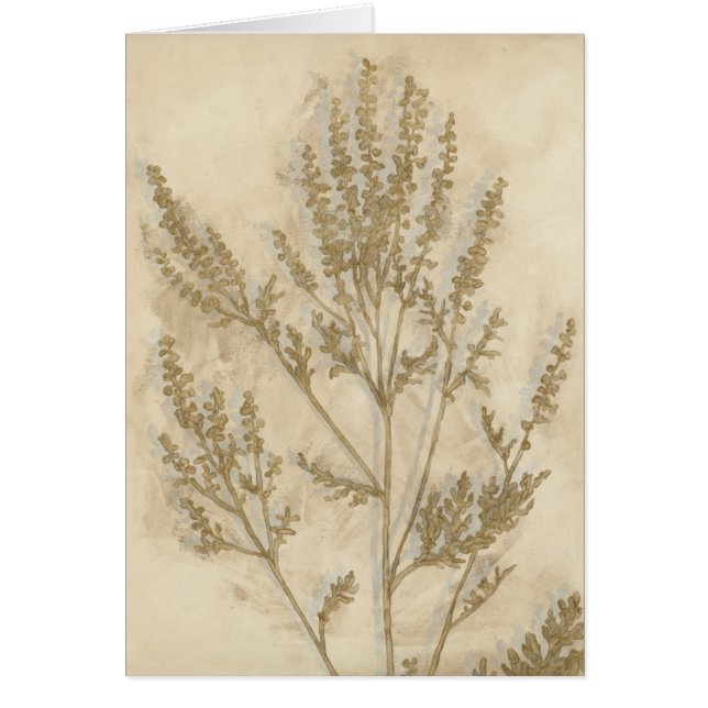 Gilded Foliage II (Front)