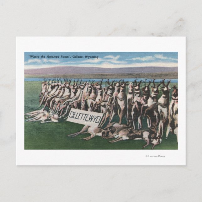 Gillette, WY - Where the Antelope Roam Postcard (Front)