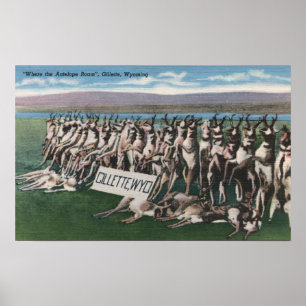 Gillette, WY - Where the Antelope Roam Poster