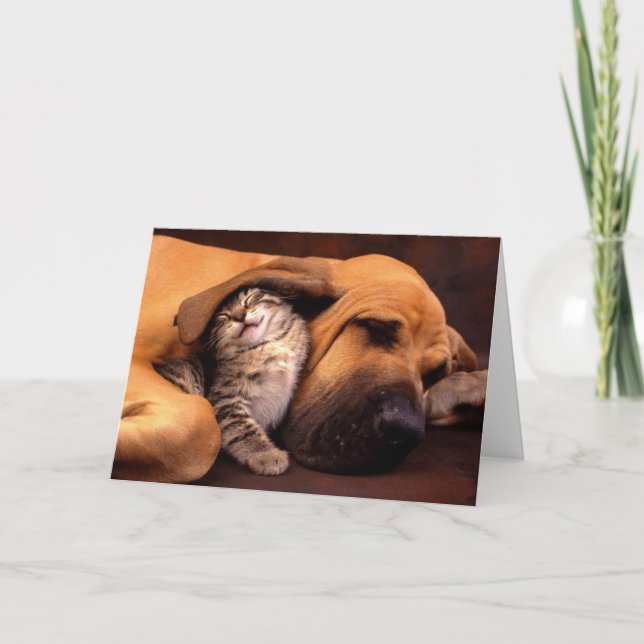 Gimme shelter... card (Front)