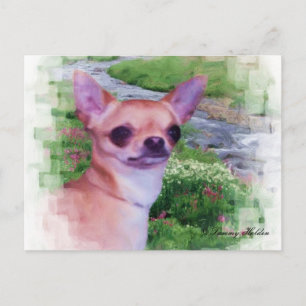 ginandCreek_Painting, Tammy Holden Postcard