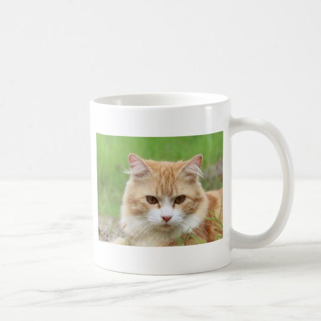 Ginger and White Cat, so cute! Coffee Mug (Right)