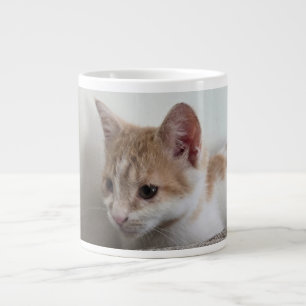Ginger and White Kitten Large Coffee Mug