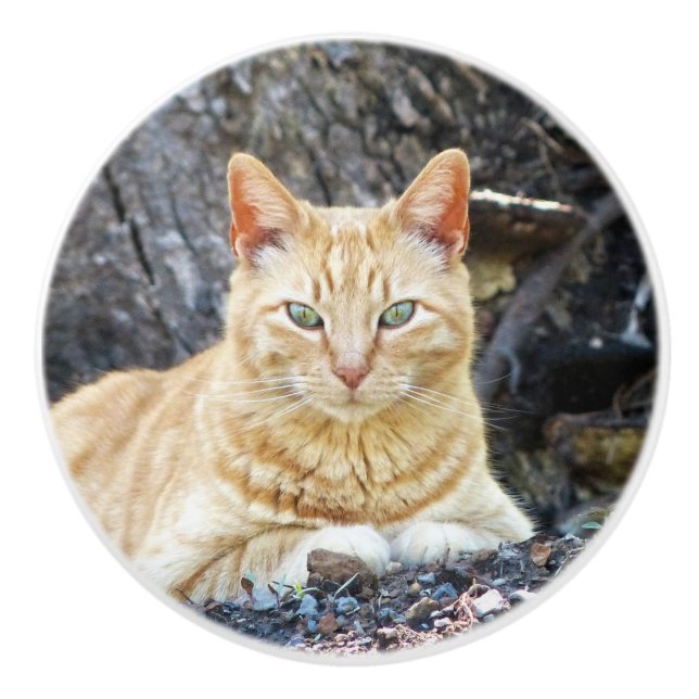 Ginger Boy Ceramic Knob (Front)