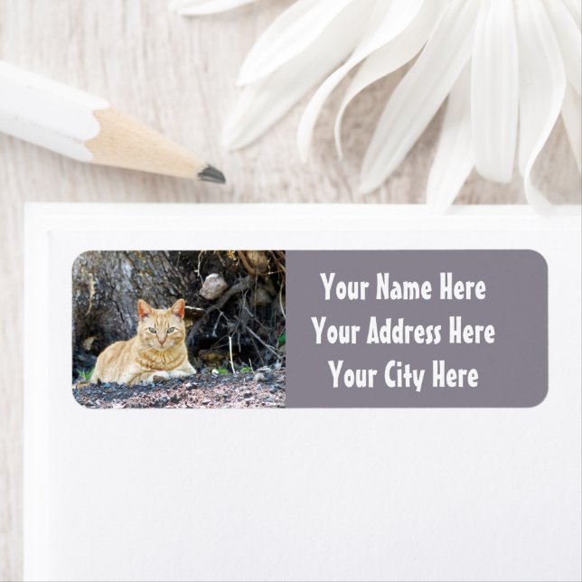 Ginger Boy Return Address Label (Insitu)