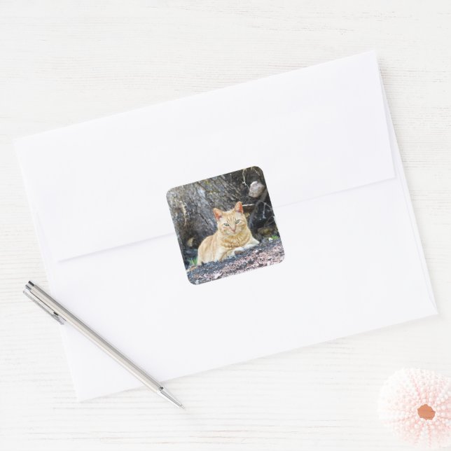 Ginger Boy Square Sticker (Envelope)