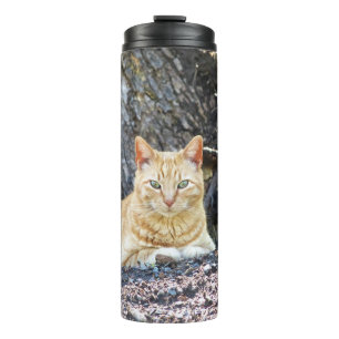 Ginger Boy Thermal Tumbler