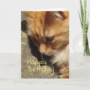 Ginger cat Birthday card