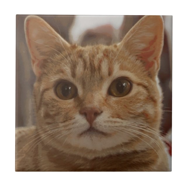 Ginger cat brown eyes  ceramic tile (Front)