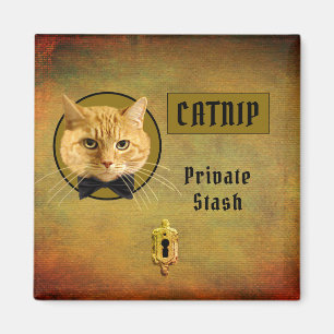 Ginger Cat Customisable Catnip Magnet