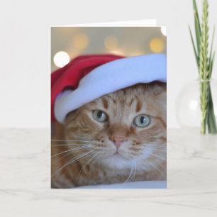 GINGER CAT cute CHRISTMAS CARD