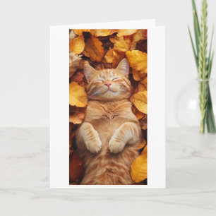 ginger cat enjoying a sleepy moment card