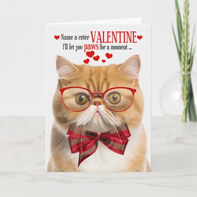 Ginger Cat Exotic Shorthair Humour Valentine's Day Holiday Card (Front)