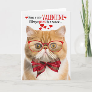 Ginger Cat Exotic Shorthair Humour Valentine's Day Holiday Card