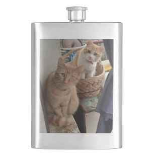 ginger cat flasks