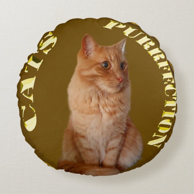 Ginger Cat Gold Coin, Round Cushion (Front)
