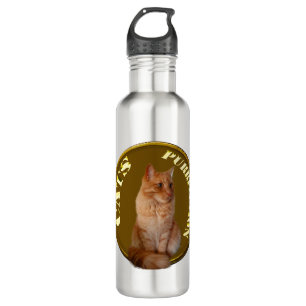 Ginger Cat Gold Coin, Water Bottle
