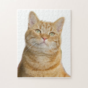 Ginger cat green eyes jigsaw puzzle