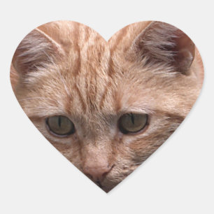 Ginger Cat Heart Shaped Sticker