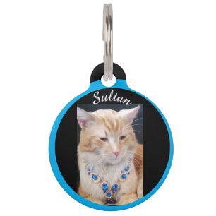 Ginger Cat ,Jewellery,  Name and Photo customise,  Pet Tag