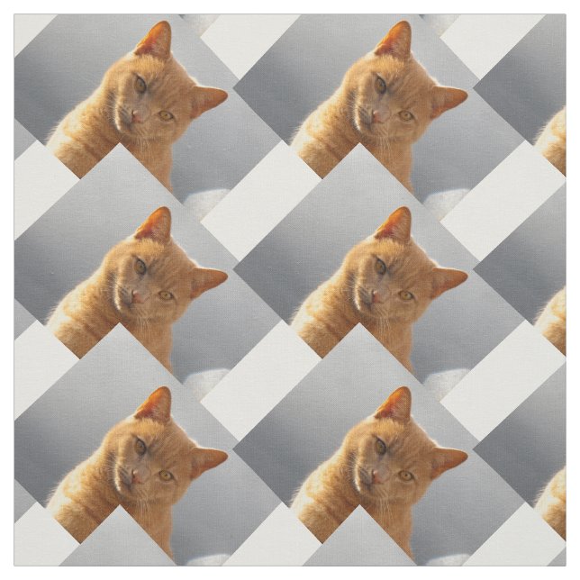 Ginger cat Merlin Fabric (Swatch)