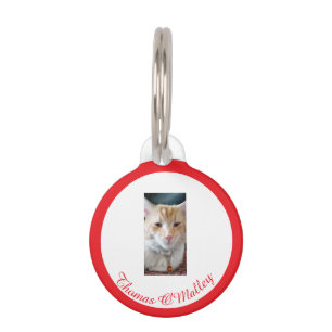 Ginger Cat , Name Photo Personalised, Funny Text, Pet Tag