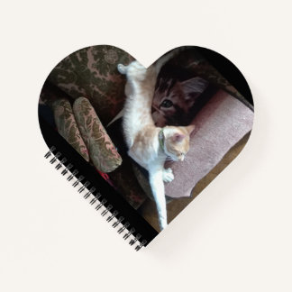 Ginger Cat Notebook