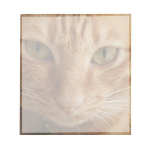 ginger cat notepad