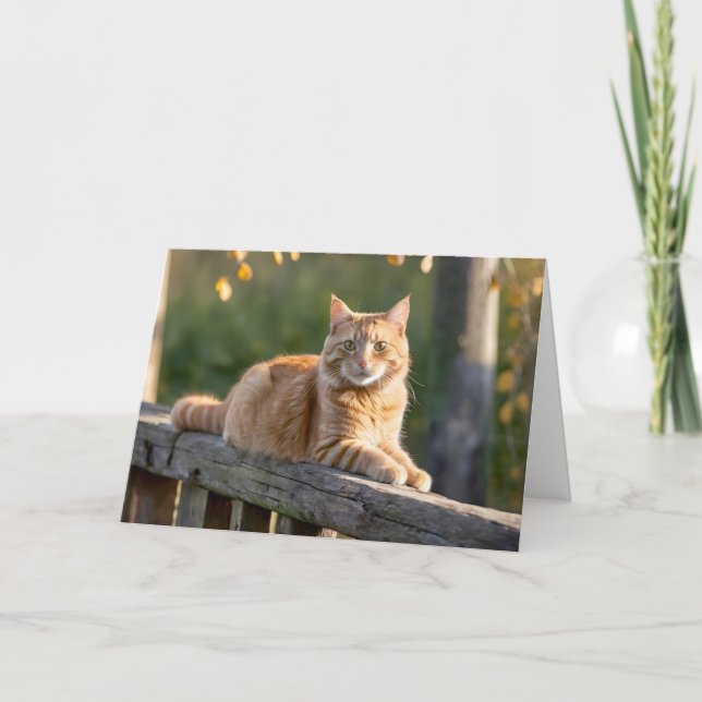 Ginger Cat On a Rustic Fence Card (Front)