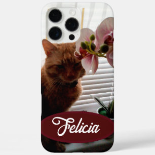 Ginger Cat Photo and Name, Customizable ,  iPhone 16 Pro Max Case