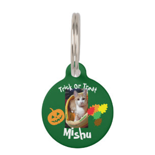 Ginger Cat Photo And Text, Customizable, Halloween Pet Tag