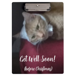Ginger Cat Photo Get Well Soon , Clipboard