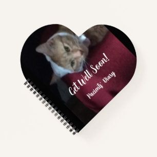 Ginger Cat Photo Get Well Soon Notebook