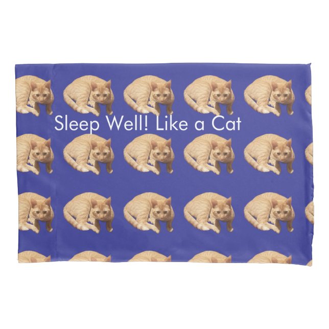 Ginger Cat Photo Humor Text Blue Red  Pillowcase (Front-Left)