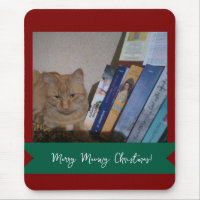 Ginger cat, Photo Text Customize ,Meowy Christmas,