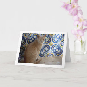 Ginger Cat Portrait Card