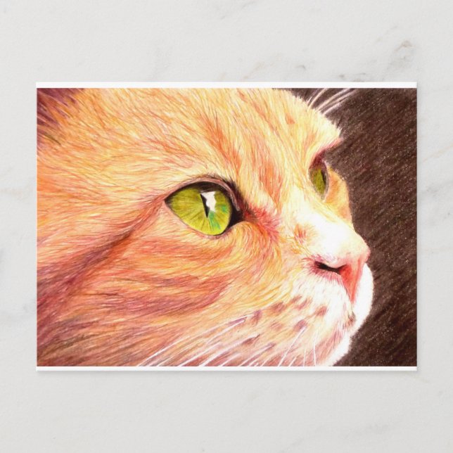 Ginger Cat Postcard (Front)
