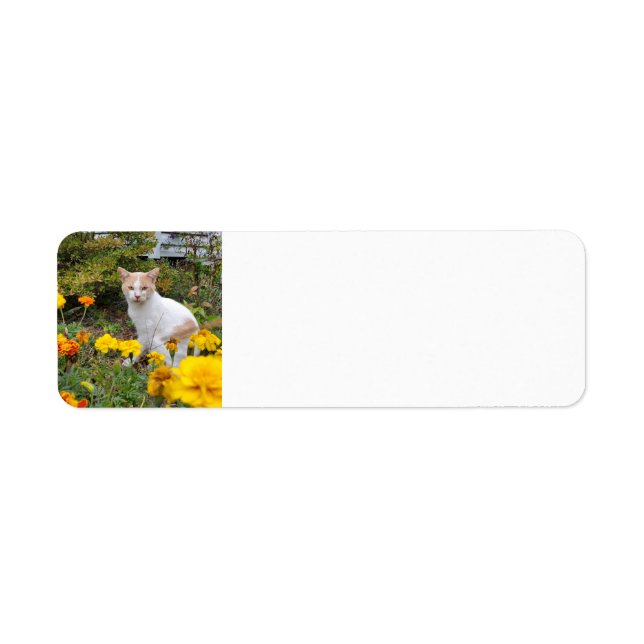 Ginger cat return address label (Front)