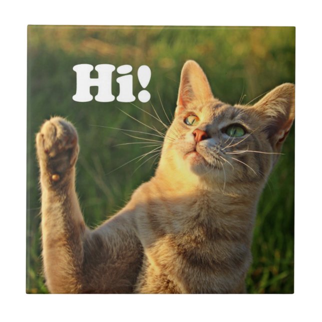 Ginger Cat Saying Hi! Ceramic Tile (Front)