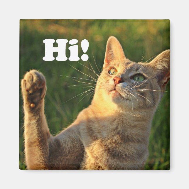 Ginger Cat Saying Hi! Magnet (Front)