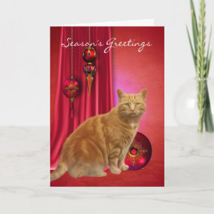 ginger cat season's greeting card with ornaments