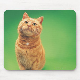 Ginger cat sitting, looking upwards mouse pad