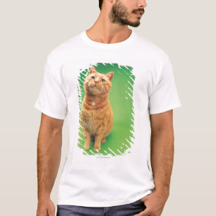 Ginger cat sitting, looking upwards T-Shirt