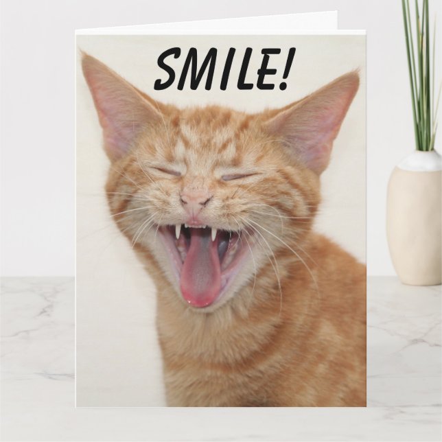 GINGER CAT SMILING HAPPY BIRTHDAY Greeting Cards (Front)