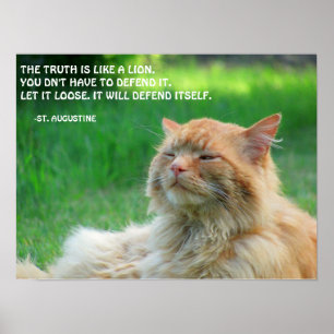Ginger Cat St. Augustine Truth Quote Poster