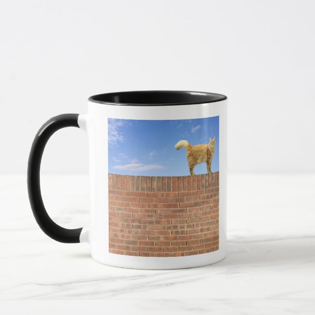 Ginger Cat Standing on Brick Wall Mug (Left)