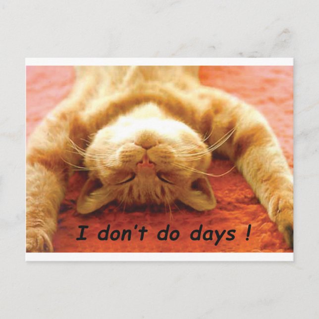 Ginger Cat T shirt, I don't Do Days Postcard (Front)